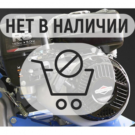 Мотокультиватор Нева МК100Р-B&S (RS750)